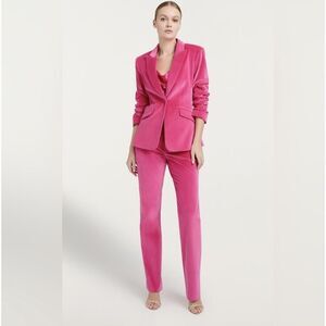 Cinq a Sept Pants Womens 2 Pink Velvet Straight Leg Trousers Dressy Tailored